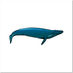 Blue Whale Posters and Art